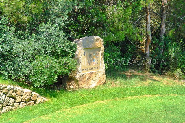 Haus zu verkaufen Mallorca:  Golf de Andratx Camp de Mar Es Talaiot sehr – Foto 8