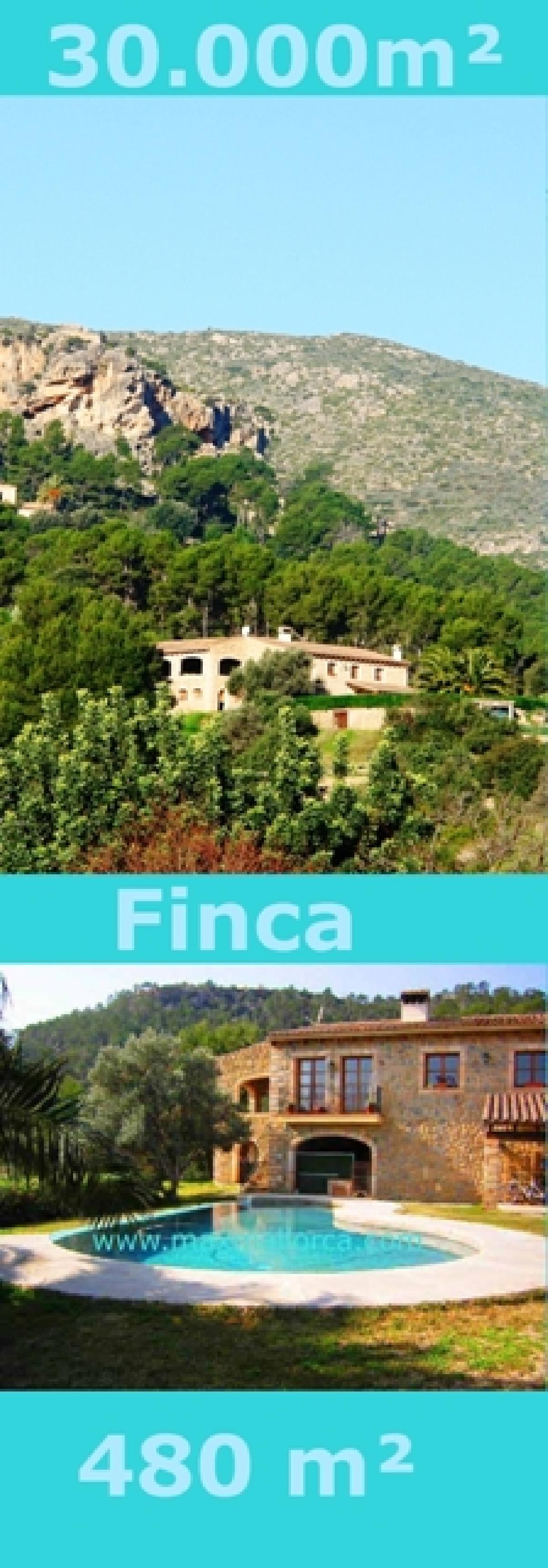 Puerto Andratx 30.000 m² Landbesitz Finca Villa Steinhaus mit Patio 3 Minuten zum Yachtclub – Foto 1