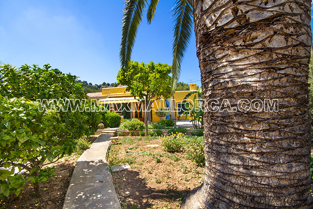 Villa Silencio del Puerto Andratx Mallorca for sale – Foto 11
