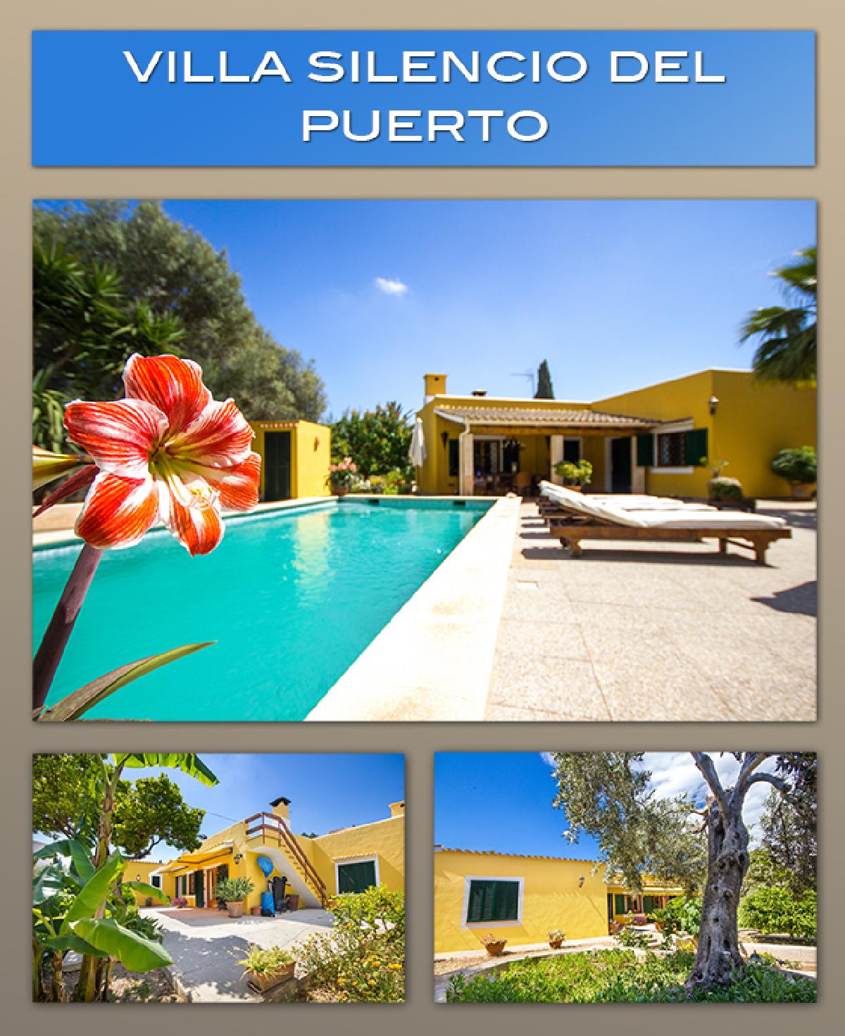 Villa Silencio del Puerto Andratx Mallorca for sale – Foto 1