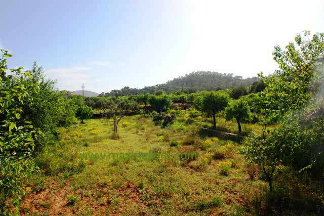 Landhaus Finca Villa mit 2 Häusern Puerto Andratx – Foto 3