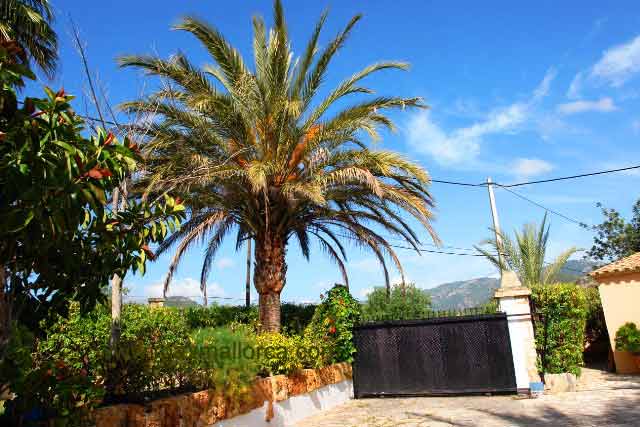 Landhaus Finca Villa mit 2 Häusern Puerto Andratx – Foto 10