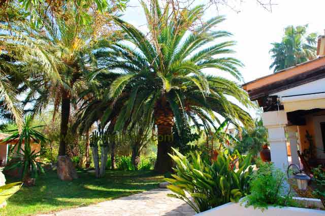Landhaus Finca Villa mit 2 Häusern Puerto Andratx – Foto 11