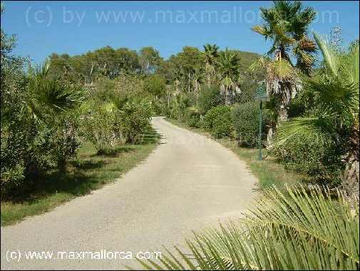 Meerblick-Steinhaus-Finca mit Pool! – Foto 3