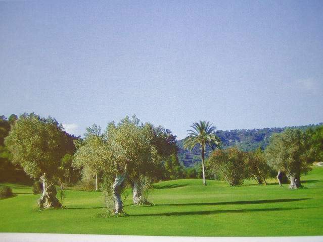 Meerblick-Steinhaus-Finca mit Pool! – Foto 4