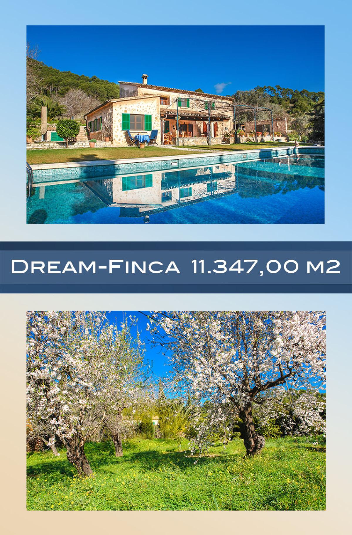 NEUER PREIS!!!! Finca-Traum im Tal von Puerto Andratx – Foto 1