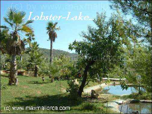 Puerto Andratx Meerblick Finca  Garden 14.500 m² – Foto 2