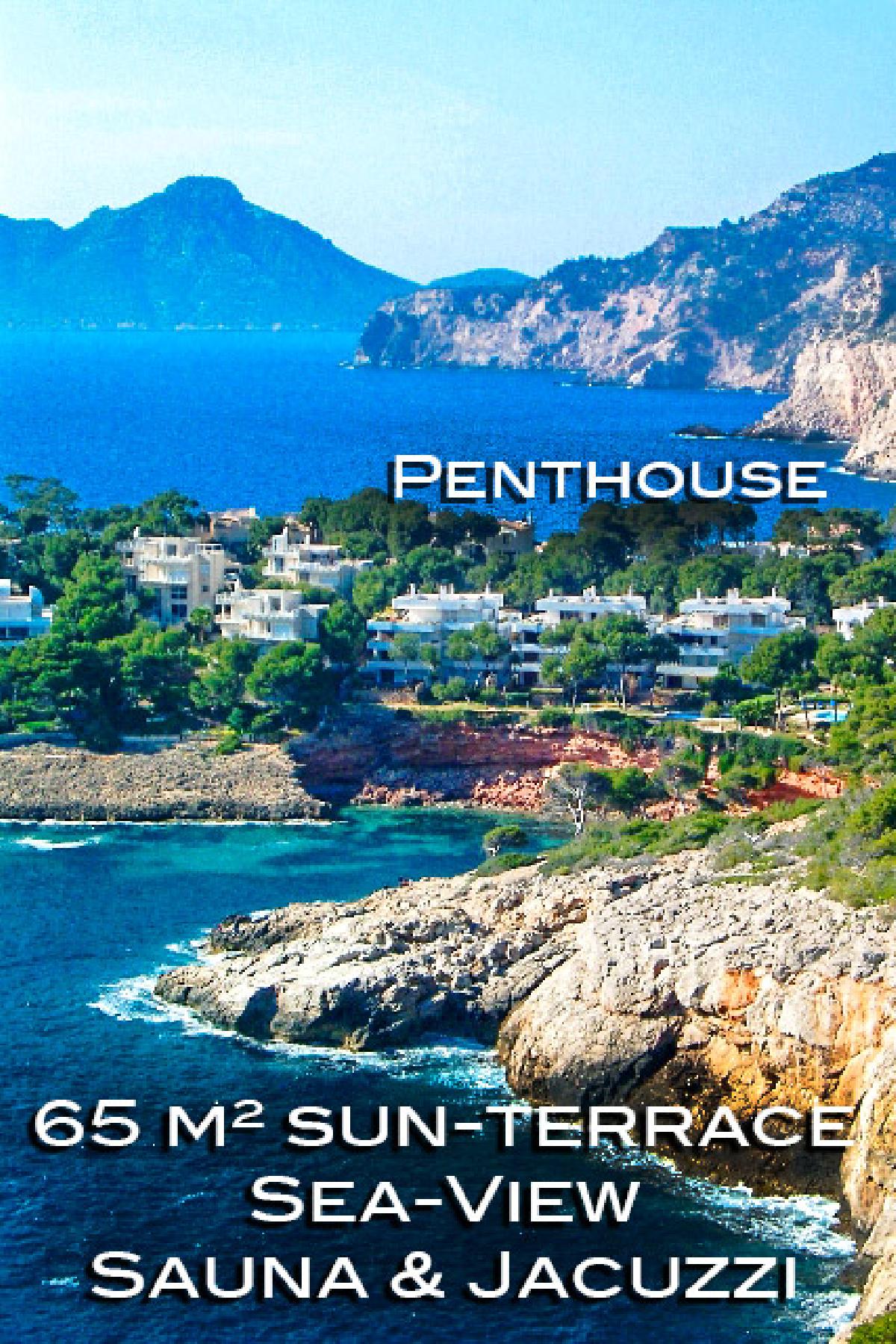 PENTHAUS GEGEN GEBOT  ZU VERKAUFEN PUERTO DE ANDRATX MALLORCA Puerto Andratx La Mola Mallorca – Foto 1